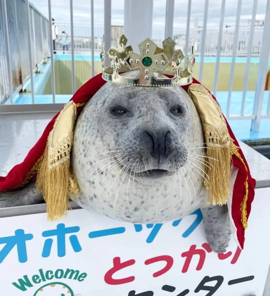 Seal Name